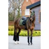LeMieux AW25 Essence Fly Hood Pine Green