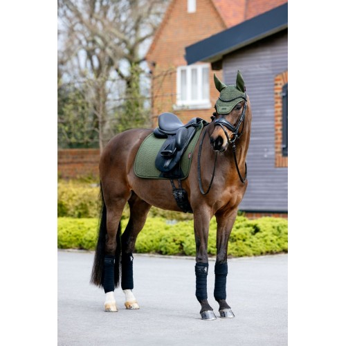 LeMieux AW25 Essence Fly Hood Pine Green