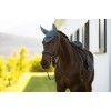 LeMieux SS26 Loire Fly Hood