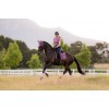 LeMieux SS26 Loire Classic Dressage Saddle Pad