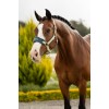LeMieux SS26 Vogue Headcollar & Leadrope