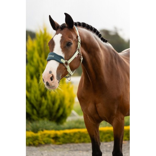 LeMieux SS26 Vogue Headcollar & Leadrope