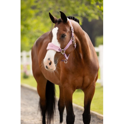LeMieux SS26 Vogue Headcollar & Leadrope