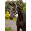 LeMieux SS26 Vogue Headcollar & Leadrope
