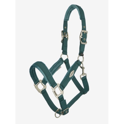 LeMieux SS26 Versailles Headcollar