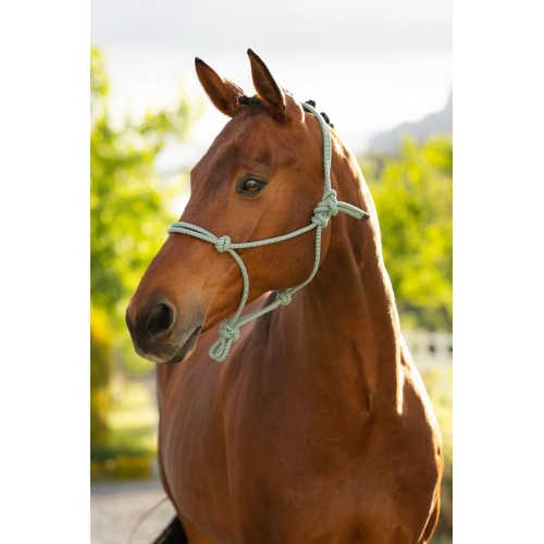 LeMieux SS26 Rope Halter