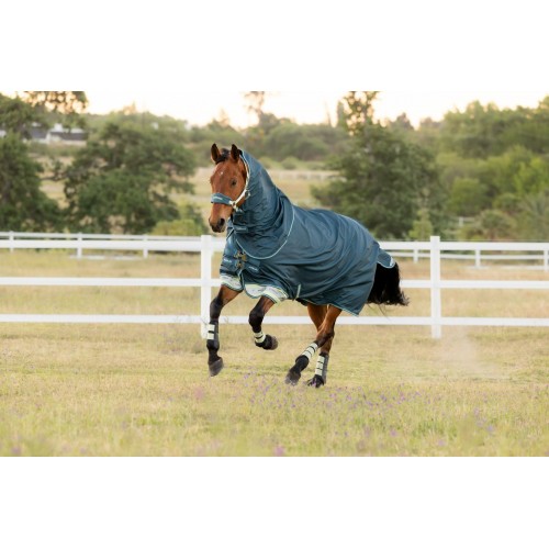 LeMieux SS26 Arika Ripstop 50g turnout rug Jungle