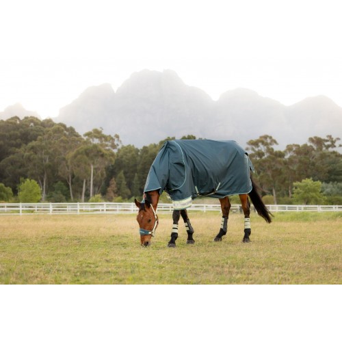 LeMieux SS26 Arika Ripstop 50g turnout rug Jungle