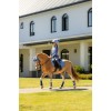 LeMieux SS26 Mini Base Layer