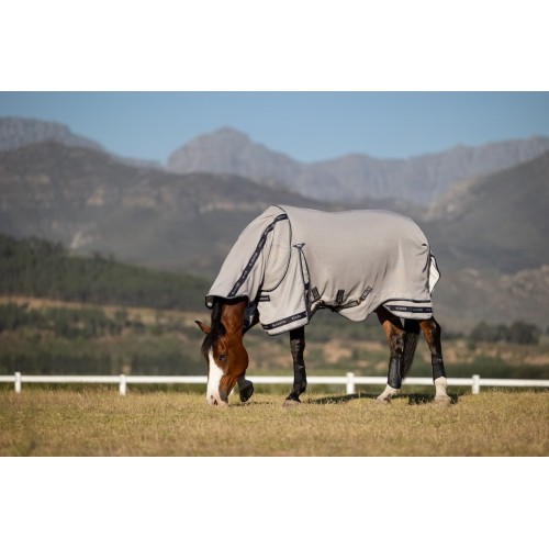 LeMieux CORE Kudos Gladiator Fly Rug