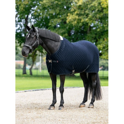 LeMieux SS26 Arika Clima-Tek Rug