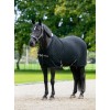 LeMieux SS26 Arika Clima-Tek Rug