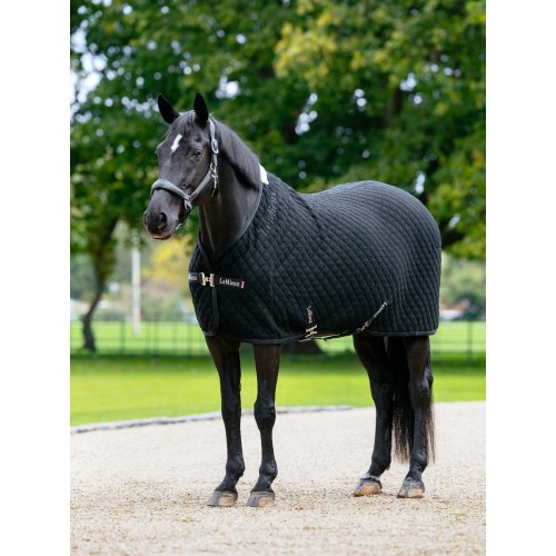 LeMieux SS26 Arika Clima-Tek Rug
