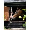 LeMieux Horse Toy Giraffe
