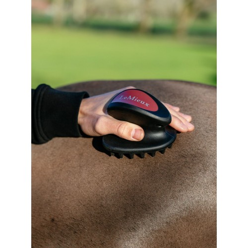 LeMieux SS26 Massage Brush
