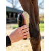 LeMieux SS26 Dandy Brush