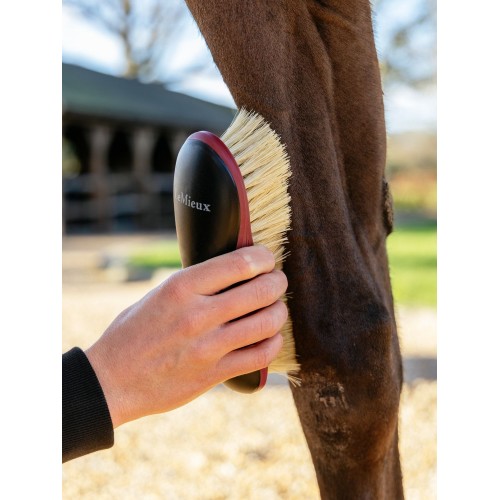 LeMieux SS26 Dandy Brush