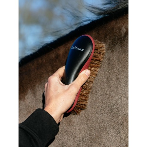 LeMieux SS26 Body Brush