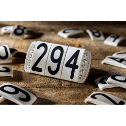 Kettner Snap Diamond Start Numbers