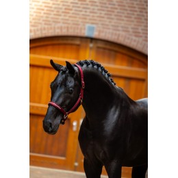 Equestrian Stockholm Line Bordeaux недоуздок