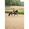 Equestrian Stockholm Line Champagne Dressage Pad