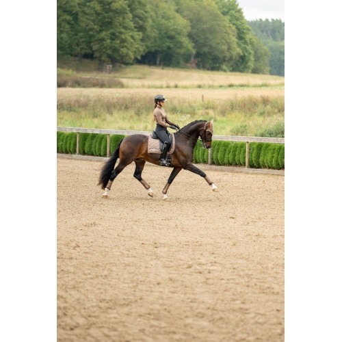 Equestrian Stockholm Line Champagne Dressage Pad