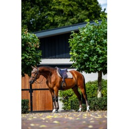 Equestrian Stockholm Line Champagne Jump вальтрап