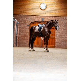 Equestrian Stockholm Champagne Classic из сетки ногавки