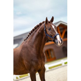 Equestrian Stockholm Line Midnight синий недоуздок