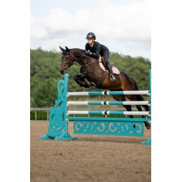 Equestrian Stockholm Line розовый Jump вальтрап