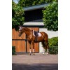 Equestrian Stockholm Pink Classic Mesh Brushing Boots