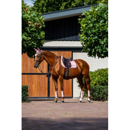 Equestrian Stockholm Pink Classic Mesh Brushing Boots