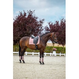 Equestrian Stockholm розовый Classic из сетки ногавки