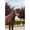 Equestrian Stockholm Line Pink Halter