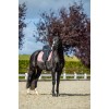 Equestrian Stockholm Line Pink Dressage Pad