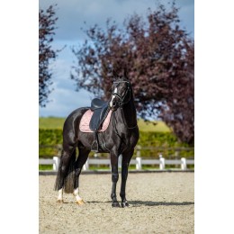 Equestrian Stockholm Line розовый выездковый вальтрап