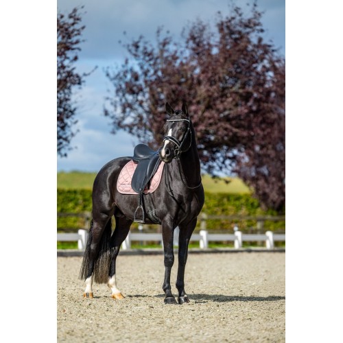 Equestrian Stockholm Line Pink Dressage Pad