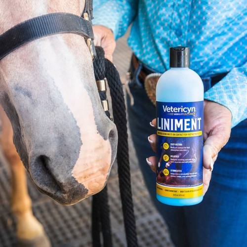 Vetericyn Equine Liniment