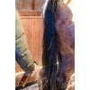 Grooming Deluxe Bubble Gum Gloss Detangler