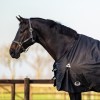 MASTER Halter Anthracite