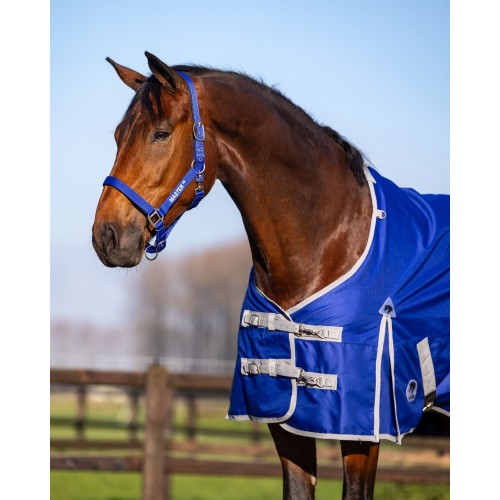 MASTER Turnout Rug 1200D 0g Cobalt Blue