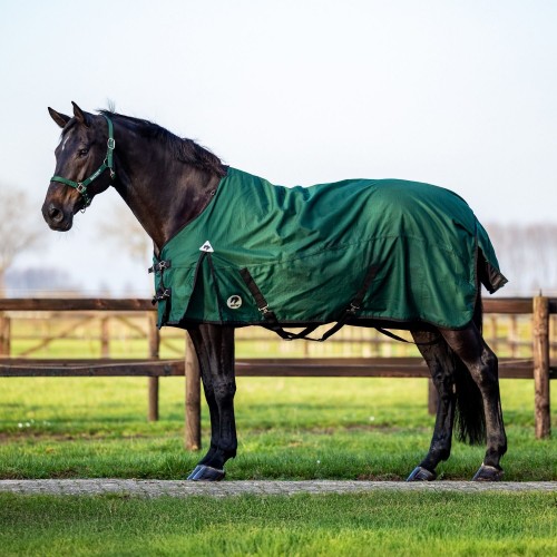 MASTER Turnout Rug 1200D 100g Dark Green