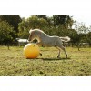 Excellent Horse Maximus Power Play Ball