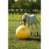 Excellent Horse Maximus Power Play Ball