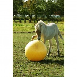 Excellent Horse Maximus Power Play Ball