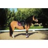 Equestrian Stockholm FW'21 Orchid Bloom Jump saddlepad