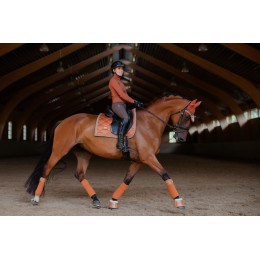 Equestrian Stockholm FW'21 Bronze Gold выездковый вальтрап