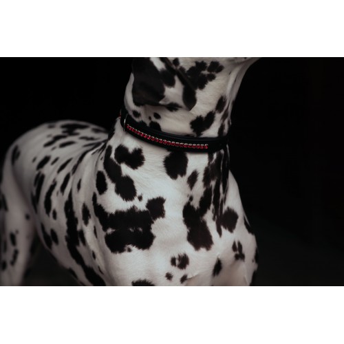 Equestrian Stockholm Bordeaux dog collar