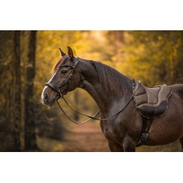 F.R.A. Dardo Basic Bling Barebackpad
