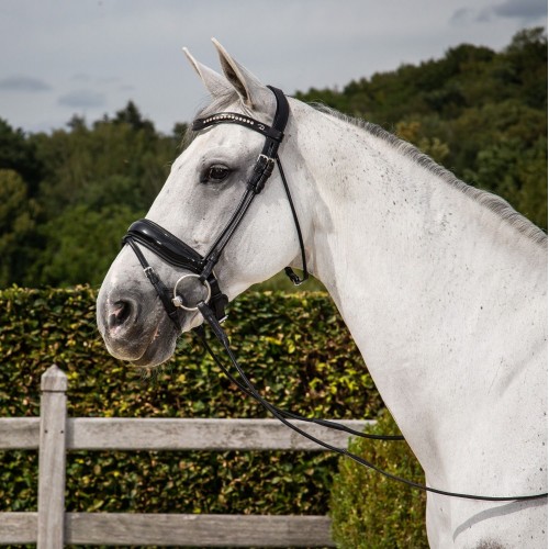 Dyon Rolled Patent Bridle